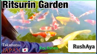 Ritsurin Garden SAKURA  栗林公園 さくら [upl. by Animrelliug]