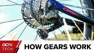 How Do Bike Gears Work  Bicycle Gears Explained [upl. by Jeanelle]