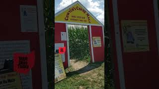 Cowvins Corn Maze 🌽 at Young’s Jersey Dairy in 📍 Yellow Springs Ohio [upl. by Lucian]