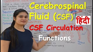 Cerebrospinal fluid in Hindi CSF  Functions  Production  CSF Circulation  Choroid Plexus [upl. by Lexi]