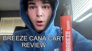 BREEZE CART HONEST REVIEW [upl. by Assilen448]