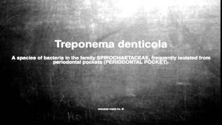 Medical vocabulary What does Treponema denticola mean [upl. by Schwing114]