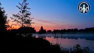 Singing of forest birds with cicadas at the night lake Perfect for sleeping [upl. by Ikciv938]