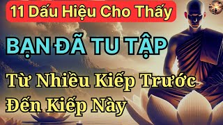 11 Dấu Hiệu Cho Thấy Bạn Đã Tu Tập Tích Luỹ Phúc Đức Từ Nhiều Kiếp Trước Đến Kiếp Này [upl. by Gaut878]