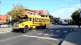 CANADIAN SCHOOL BUSES IN DRIVING ACTION [upl. by Sinegra]