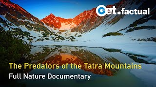 The Tatra Mountains  Wild at Heart  Full Documentary Episode 1 [upl. by Shear]