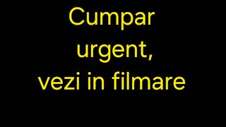 Diferenta dintre hrana albinelor si mierea pentru vanzare [upl. by Ariamo698]