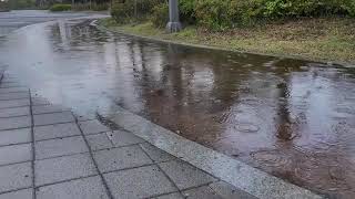 GENTLE RAIN SOUNDS on a sidewalk Perfect for relaxation and deep sleep rain insomnia ASMR [upl. by Rondi928]