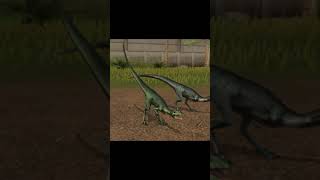 UNLOCK COMPSOGNATHUS II Jurassic World The Game II Dinosaurs Fight short [upl. by Stambaugh170]