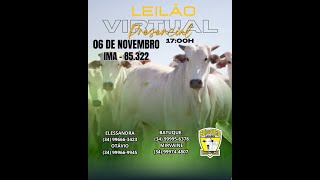 Leilão Virtual e Presencial Boi De Ouro Leilões  Frutal MG  Dia 06112024 [upl. by Yeslek]