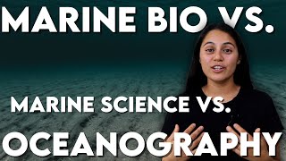 Differences Between Marine Biology Marine Science and Oceanography  I Want to Study the Ocean [upl. by Paulita]