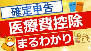 【医療費控除】初心者向け 医療費控除について簡単解説 [upl. by Aisatsana359]