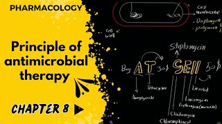 فارما  جابتر 8  شرح مهم متطور لفهم المضادات الحيوية  principle of antimicrobial therapy [upl. by Yelyak]