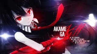 Infernal Raid  Akame Ga Kill AMV [upl. by Pansir]