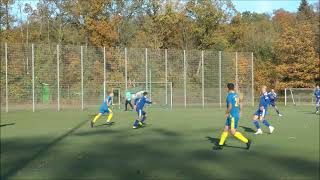 Kreisliga Seenplatte Ü35 8Spieltag TSG Neustrelitz  1FC Neubrandenburg 04 17 01 [upl. by Doomham]