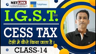 14 IGST tax  CGST  SGST  CESS टैली प्राइम में टैक्स को कैसे उपयोग किया जाता है [upl. by Annohs]