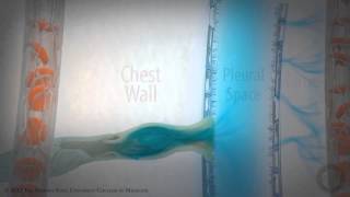 Pleural SpacePart 2 of 3 Pleural Fluid Dynamics HD [upl. by Ainad197]