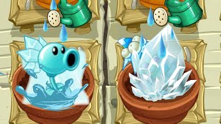 All Animation Ice Plants In Zen Garden  Plants Vs Zombies 2 [upl. by Anirok]