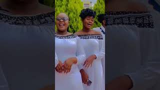 Msanii Music Group acapella of famous Mtuliza Bahari song [upl. by Cozza]