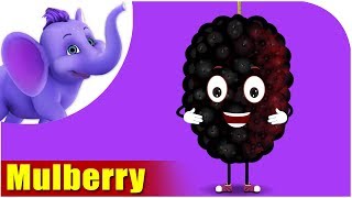 Mulberry  Fruit Rhyme in Ultra HD 4K [upl. by Demetri524]