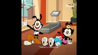 Animaniacs  We Can Sing  Hulu [upl. by Enelak772]