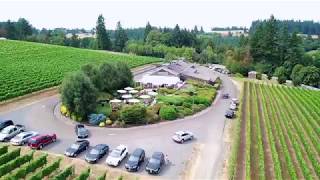 Welcome to Hawks View Winery [upl. by Won]