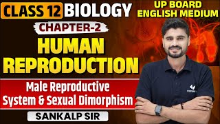 Biology Class 12 Chapter 2 UP Board  12th Biology Ch 2 Human Reproduction  Sankalp Sir Biology [upl. by Smalley]