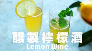 漫長的等待🍋 喝的是靈魂解放🥂 100天然純釀檸檬酒 beanpandacook​ [upl. by Romo]