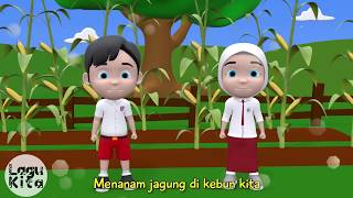 MENANAM JAGUNG  3D  Lagu Anak Indonesia [upl. by Arratoon]