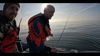 sea fishing around Northumberland for cod and pollock [upl. by Cindie]