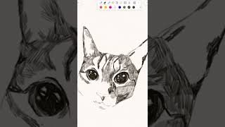 sketching my little clemmy girl 🐈 [upl. by Verena]