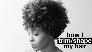 How I Trim amp Shape My Natural Hair  askpRoy [upl. by Eziechiele]