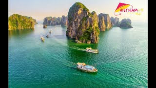 Halong Bay Cruises Vietnam Vacation Travel [upl. by Alleda]