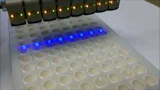 Optical filling level detection in microtiter plates with F 10 Bluelight sensor [upl. by Aileve637]