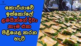 කොහොමද කොරියාවේ ඉස්කෝලවල දෙන Lunch එක Burger King පරාදයි [upl. by Anesor]