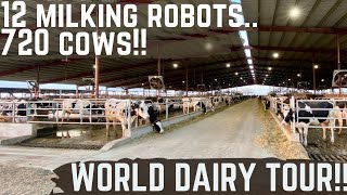 This New Dairy Has 12 Milk Robots [upl. by Inalak677]