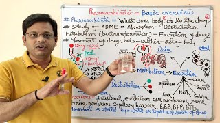 32 Pharmacokinetic Part 01 Pharmacokinetic Definition  What is Pharmacokinetics  ADME [upl. by Assiruam762]