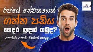 Get Paid 200 With Toloka  Earn Money Online  Artificial Intelligence  Sinhala  2024 [upl. by Jaylene]