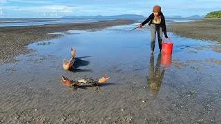 WOW Today I Found Many Big Mud Crabs In Sea after Water Low Tide  Fishing after Low TIde [upl. by Eelahc945]