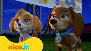 Psi Patrol  Najlepsze Momenty Z Sezonu 9tego PSIEGO Patrolu 🐶 Part 1  Nick Jr Polska [upl. by Mollee]