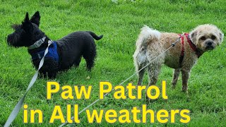 Paw Patrol in all Weathers 😍 [upl. by Dulciana303]