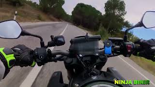 CB650R 2024 DUNLOP SPORTMAX ROADSPORT II CAN YOU TRUST IT [upl. by Hamid521]