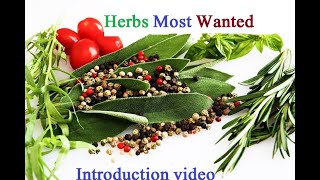 Introduction to my channel  Herbs information  Herbs Most Wanted [upl. by Anelrac]