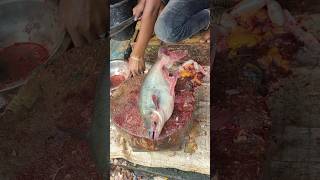 Super Fast Pangas Cutting Skills  How To Cut Pangas Fish 😱 shorts [upl. by Jenkins]