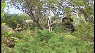 Jagd in Norwegen  Hunters Video [upl. by Brandwein]