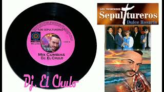 Los Sepultureros Cumbias Bass Mix Dj El Chulo Fco Efrén López Ayala [upl. by Liederman674]