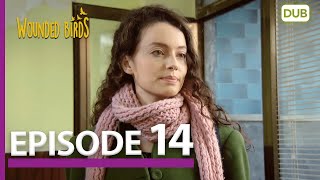 Wounded Birds Episode 14  Urdu Dubbed  Turkish Drama [upl. by Anawat]