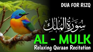 The Heart touching voice Most Relaxing Recitation of Surah AlMulk  سورة الملك   Sal [upl. by Berliner388]