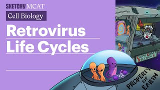 Retrovirus Life Cycles Understanding HIV Full Lesson  Sketchy MCAT [upl. by Stromberg885]