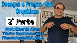 Doenças e Pragas das Orquídeas 2° Parte [upl. by Weston669]